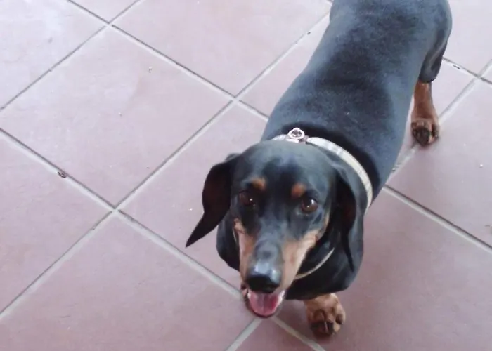 Cristina 3* Syracuse